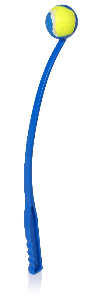 CHUCK-IT HAZEC S MICKEM
