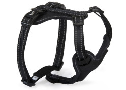 CAMON POSTROJ PRO PSY
