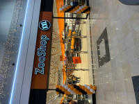 Náhledová fotografie prodejny ZooShopXXL Liberec