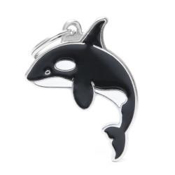 WILD KILLER WHALE