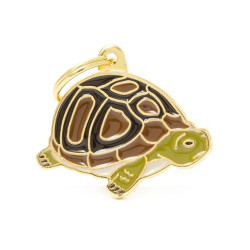 WILD TURTLE