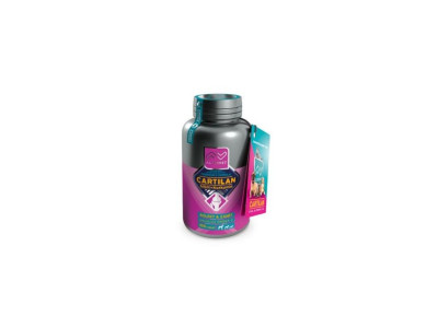 CARTILAN MSM + KURKUMIN 100 tablet