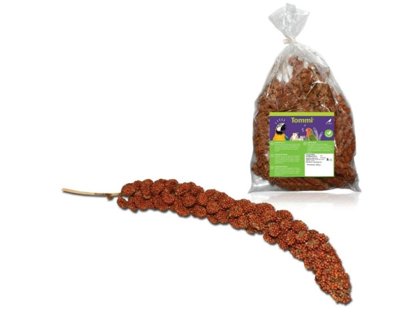 detail SENEGALSKÉ PROSO ČERVENÉ 200G