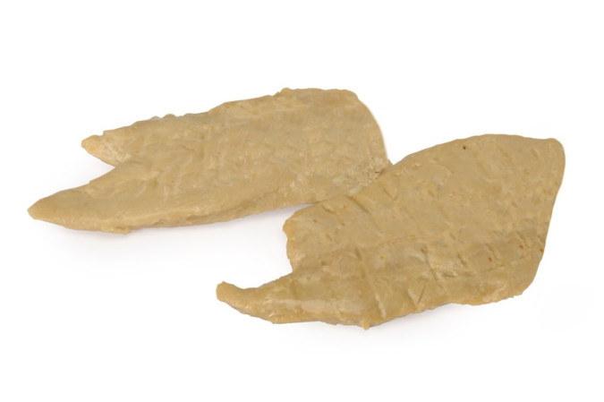 detail KACHNA FILETY 2 ks 40 g CAMON