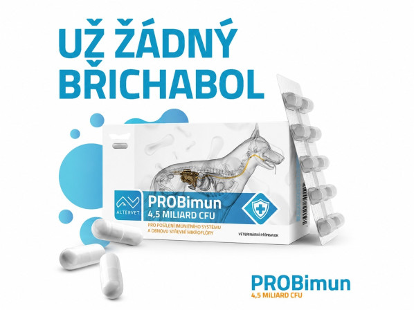 detail PROBIUM 1 PLATÍČKO 10 TABLET