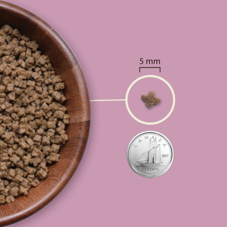 detail ACANA KITTEN 1,8 kg