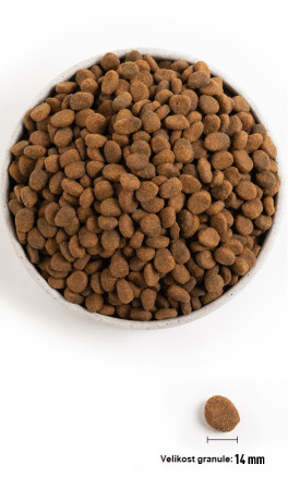 detail ORIJEN REGIONAL RED 2 kg