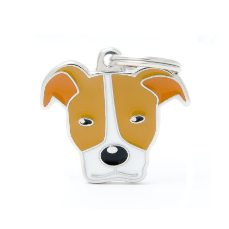 detail WHITE & ORANGE PITBULL