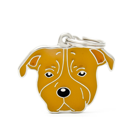 detail BROWN AMERICAN STAFFORDSHIRE TERRIER