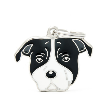 detail BLACK&WHITE AMERICAN STAFFIRDSHIRE TERRIER