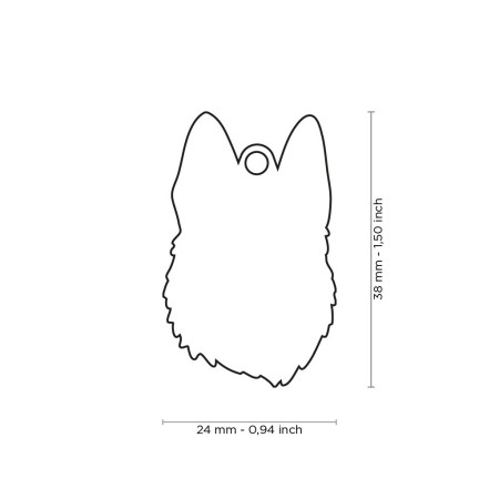 detail CZECHOSLOVAKIAN WOLFDOG