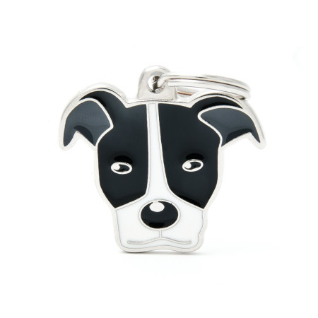 detail BLACK&WHITE PITBULL