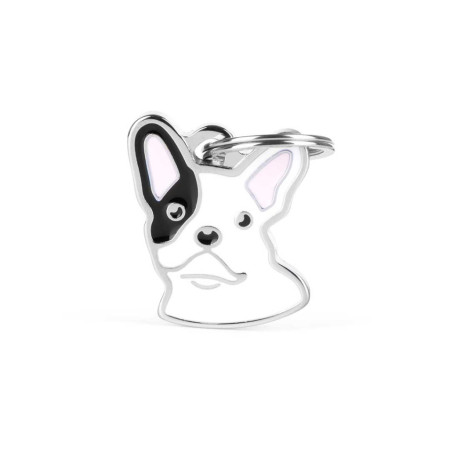 detail BLACK&WHITE FRENCH BULLDOG