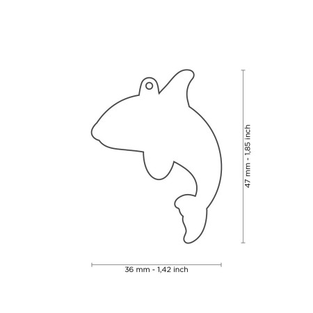 detail WILD KILLER WHALE