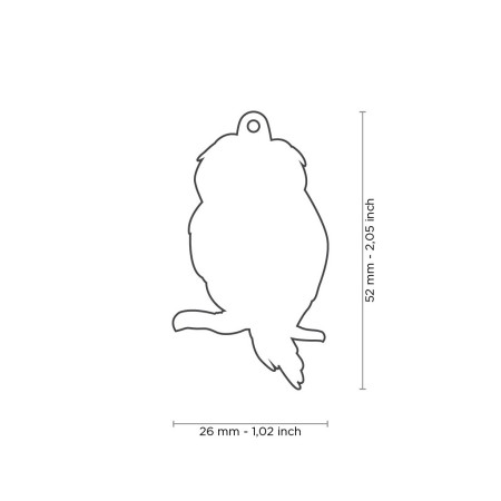 detail WILD OWL