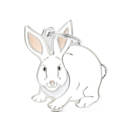 detail WILD RABBIT