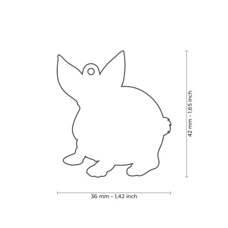 detail WILD RABBIT