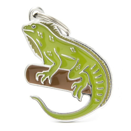 detail WILD IGUANA