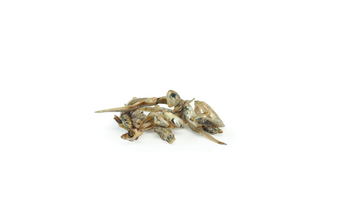 detail SUŠENÉ ANČOVIČKY 4 cm 30 g