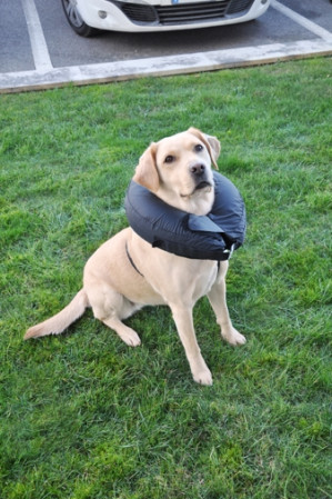 detail NAFUKOVACÍ LÍMEC