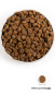 náhled ACANA SENIOR RECIPE 11,4 kg