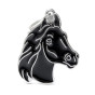 náhled WILD BLACK HORSE