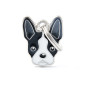 náhled BOSTON TERRIER